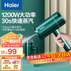 Haier 海尔 HY-GW1506 手持挂烫机 绿色