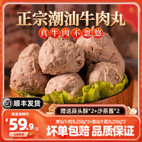 牛肉丸潮汕手打牛肉丸正宗牛筋丸潮州特产美食火锅丸烧烤食材批发