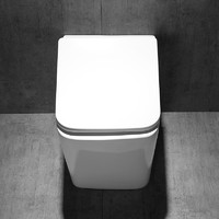 观博（GABO）家用卫生间陶瓷马桶落地坐便器方形缓降墙排水直冲座便器10025B 10025B-BP白色墙排水马桶