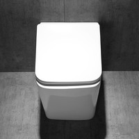 观博（GABO）家用卫生间陶瓷马桶落地坐便器方形缓降墙排水直冲座便器10025B 10025B-BP白色墙排水马桶