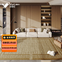 范嘉伦（VanCalen）地毯客厅轻奢沙发毯防水卧室家用房间床边毯免洗可擦加厚 澳德绒-横纹加 200x300cm