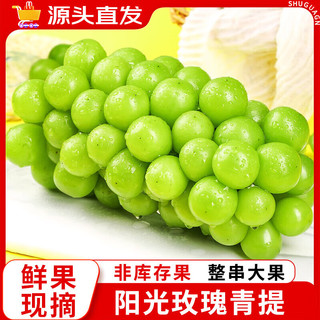 巧鲜惠 阳光玫瑰葡萄晴王2.5kg