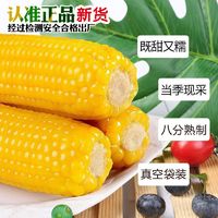 乐姆当季新绿色黄糯玉米新鲜速食真空黏苞米粗粮餐