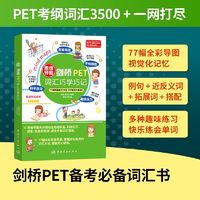 百亿补贴：思维导图剑桥PET词汇巧学巧记 当当