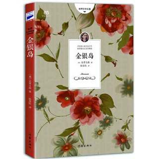 金银岛（一个以孩子口吻讲述的精彩冒险故事，张友松先生翻 当当