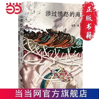 涉过愤怒的海(曹保平导演同名电影原著小说,黄渤、周迅主 当当