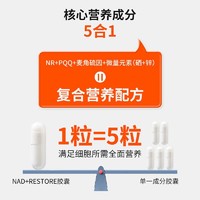 INFINITE FUTURE 无限未来 NAD+RESTORE细胞能量泵60粒礼盒装 麦角硫因焕活新生NR维持皮肤健康