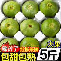 黄六爷 东北绿宝甜瓜5斤大果新鲜水果当季时令小甜瓜脆瓜绿宝石香瓜批发