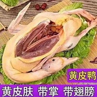 顺丰冷冻黄皮鸭冰冻全鸭袋散养生鲜肉水鸭老鸭整只带鸭掌带翅膀