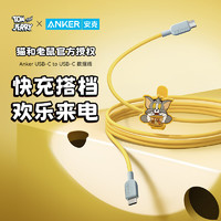 Anker 安克 USB-C to USB-C数据线