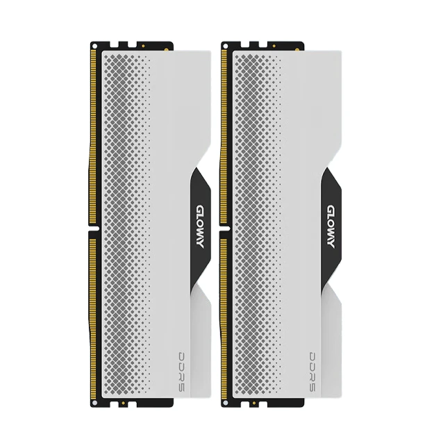 GLOWAY 光威 龙武系列 DDR5 6400MHz 台式机内存 马甲条 CL32 海力士M-die颗粒