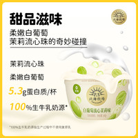 LAND OF PROMISE 北海牧场 低温酸奶宝石碗草莓流心芝士+白桃+白葡萄140g