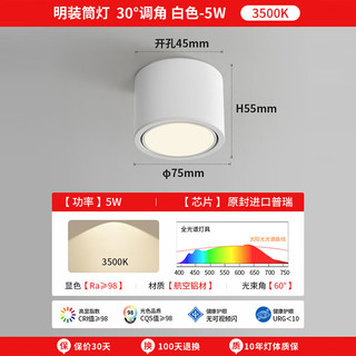 至御明装筒灯可调角度卫生间客厅免开孔卧室玄关过道无主灯具照明 白色-5W-3500K