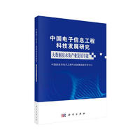 中国电子信息工程科技发展研究——大数据技术及产业发展专题