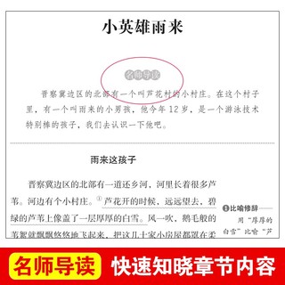 青铜葵花曹文轩完整版江苏凤凰少年儿童出版社文学获作品四年级下册课外书三至五六必读课外阅读书籍青铜和葵花与书目 【全2册】青铜葵花+小英雄雨来