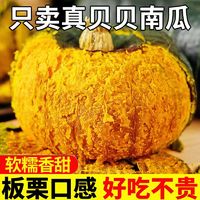 绿相忆 贝贝小南瓜 4.5斤