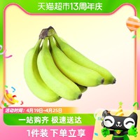 天猫超市 云南高山青皮香蕉3/5斤装单果120g+香甜绵密整箱包邮
