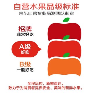 农鲜淘 洛川红富士苹果15枚 单果170g+ 新鲜水果生鲜脆甜陕西 源头直发