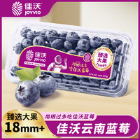百亿补贴：Joy Tree 欢乐果园 云南蓝莓甄选大果18mm+当季新鲜蓝莓230g量贩装2盒起