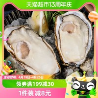 BEISILING 贝司令 鲜活乳山生蚝4XL净重4斤8-11只新鲜牡蛎海蛎子海鲜水产