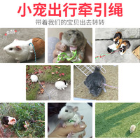 威毕 兔子牵引绳子仓鼠松鼠龙猫链子用品刺猬金丝熊荷兰猪遛溜兔绳