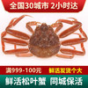 【活鲜】松叶蟹俄罗斯鲜活板蟹活蟹海鲜水产 1.8-2.0斤/1只