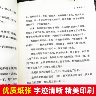 青铜葵花 曹文轩儿童文学小说阅读小课外阅读书目文学名