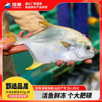 百亿补贴：翔泰海南深海金鲳鱼大只金鲳鱼新鲜冷冻400g/袋 水产生鲜ASC认证