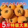 冰茜 五星枇杷 特大果 5斤装 单果35g＋