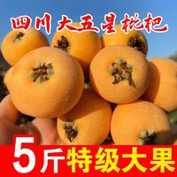 冰茜 五星枇杷 特大果 5斤装 单果35g＋