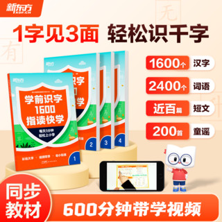 新东方学前识字1600指读快学4-6岁学龄前儿童幼小衔接4本分册+600分钟左右带学视频助力孩子小学语文生字学习