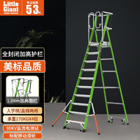 Little Giant 雷都捷特 LittleGiant） 雷都捷特玻璃钢安全笼梯 19710-146(十步笼梯)