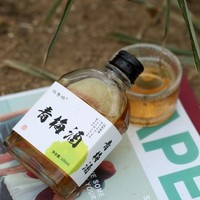 青梅酒轻熟发酵梅子酒传统发酵8度微醺聚会酸甜低度花果酒鸡尾酒