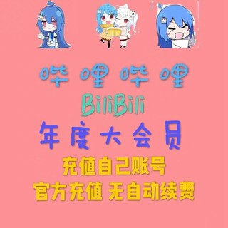 哔哩哔哩会员B站大VIP会员年卡