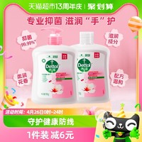 88VIP：Dettol 滴露 洗手液 滋润倍护 500g+无按压泵500g