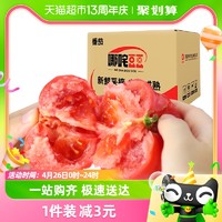 88VIP：哪咤豆豆 GREER 绿行者 青粉番茄生吃沙瓤西红柿 2.5kg