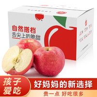自然搭档 洛川苹果陕西延安红富士糖心苹果新鲜水果礼盒时令生鲜脆甜 5斤装（净重4.5-5斤 单果170g+）