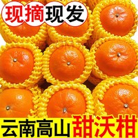 百亿补贴：沃柑云南高山沃柑桔子当季新鲜水果净重5斤单果65mm起