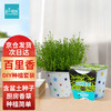 Bloom Life 匠心绽放 IAM City Farmer 欧洲香草DIY趣味种植盆栽百里香厨房香草春种小盆栽儿童种植