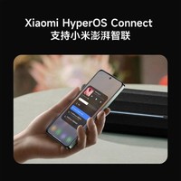 Xiaomi 小米 蓝牙音箱 音响 声学小钢炮小米澎湃智联 户外露营NFC