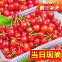 栀舒 【现摘A级品质】四川大凉山小樱桃 2.5斤装+顺丰空运