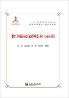 “十二五”国家重点图书出版规划项目·数字出版理论、技术和实践：数字版权保护技术与应用