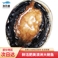 渔传播 FISHERY PROPAGATION【活鲜】澳洲大鲍鱼500-600g 1头贝类刺身海鲜水产大个澳鲍
