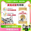 88VIP：ROYAL CANIN 皇家 成猫ASA31美短猫粮10kg 1件装