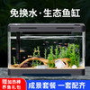 坤宁王 鱼缸客厅小型2024新款乌龟饲养缸生态鱼缸金鱼缸电视柜旁小鱼缸