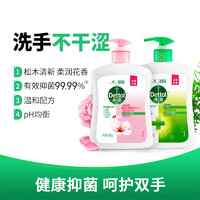 Dettol 滴露 健康抑菌洗手液滋润450g+松木450g洗手消毒