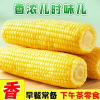 百亿补贴：十月稻田 黄糯玉米 2kg