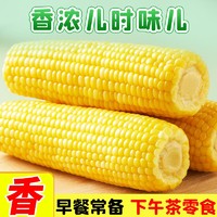 十月稻田 黄糯玉米 2kg