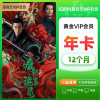 iQIYI 爱奇艺 会员年卡 12个月