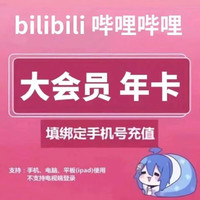 bilibili 哔哩哔哩 超级大会员年卡 12个月